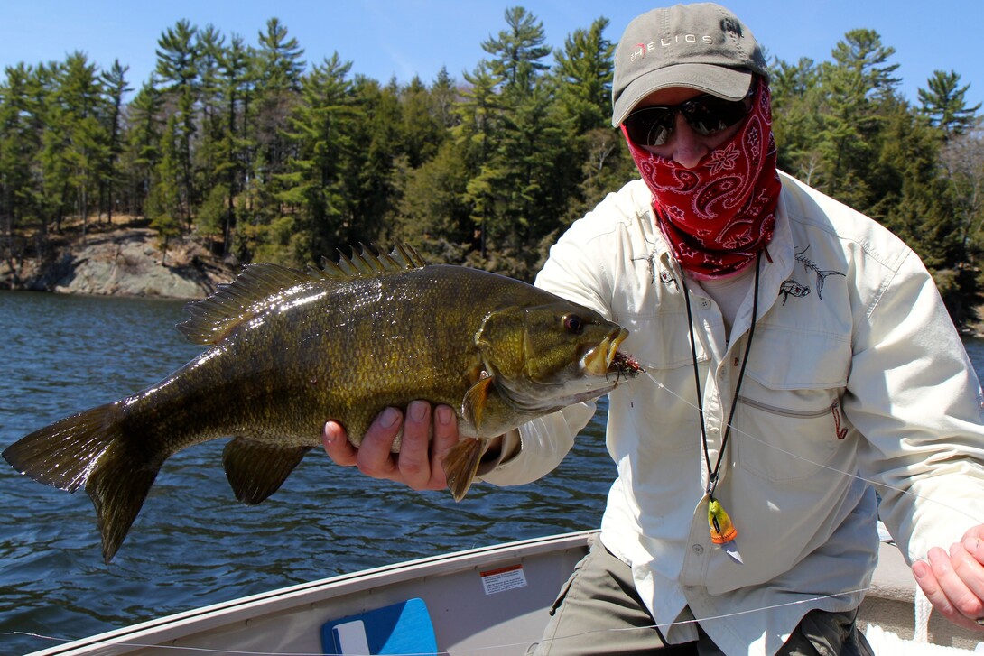 World Class Smallmouth Bass Fly Fishing