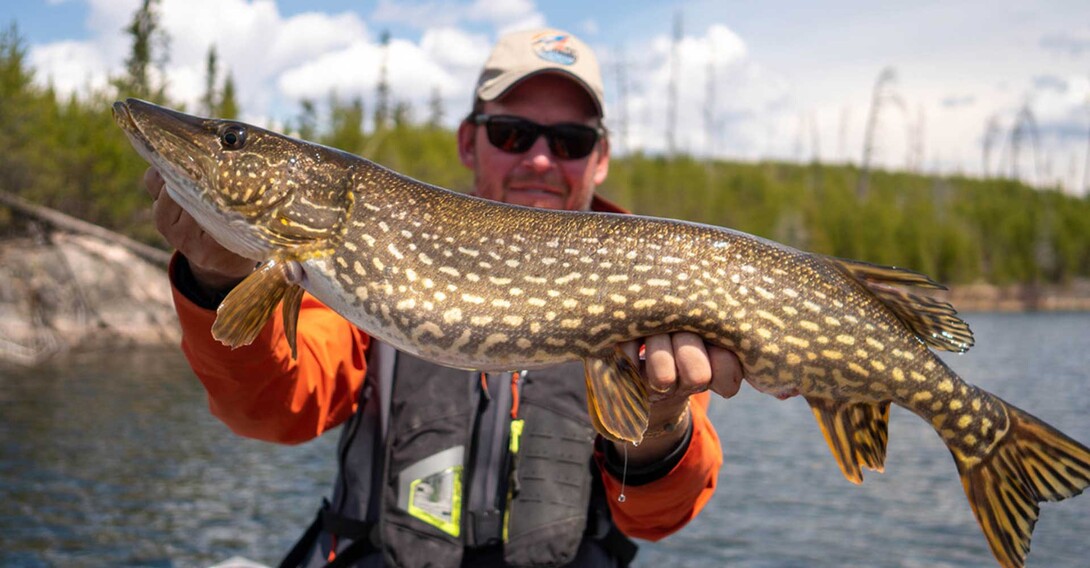 Topwater Flies for Northern Pike 